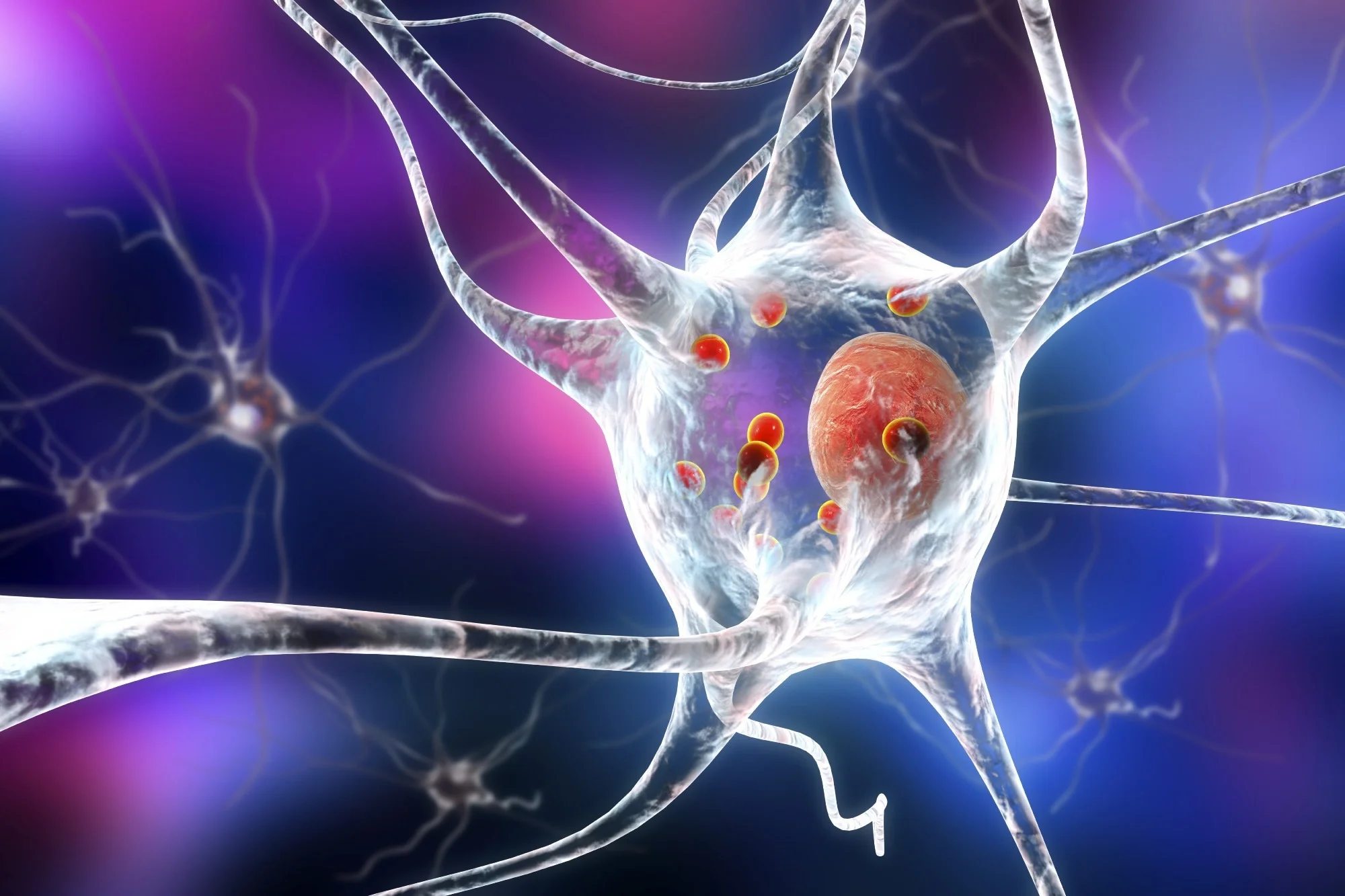 Neuroprotective peptides